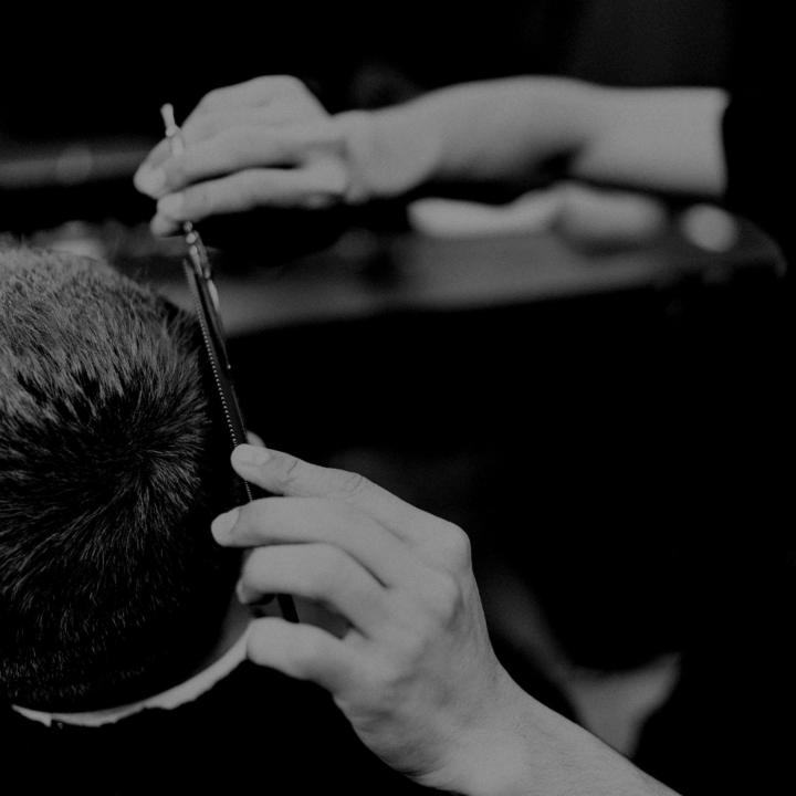 Soins des barbes Grainville-Langannerie
